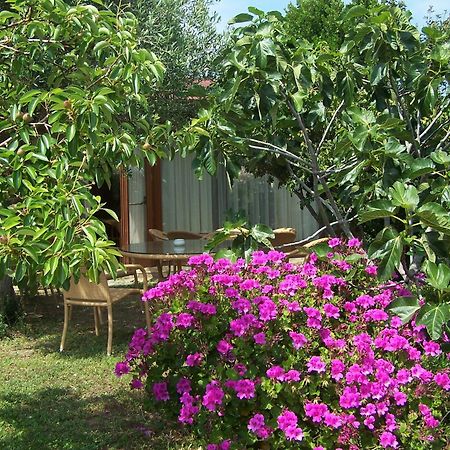 Hotel Club Ragno D'Oro Olbia Tempio Ngoại thất bức ảnh