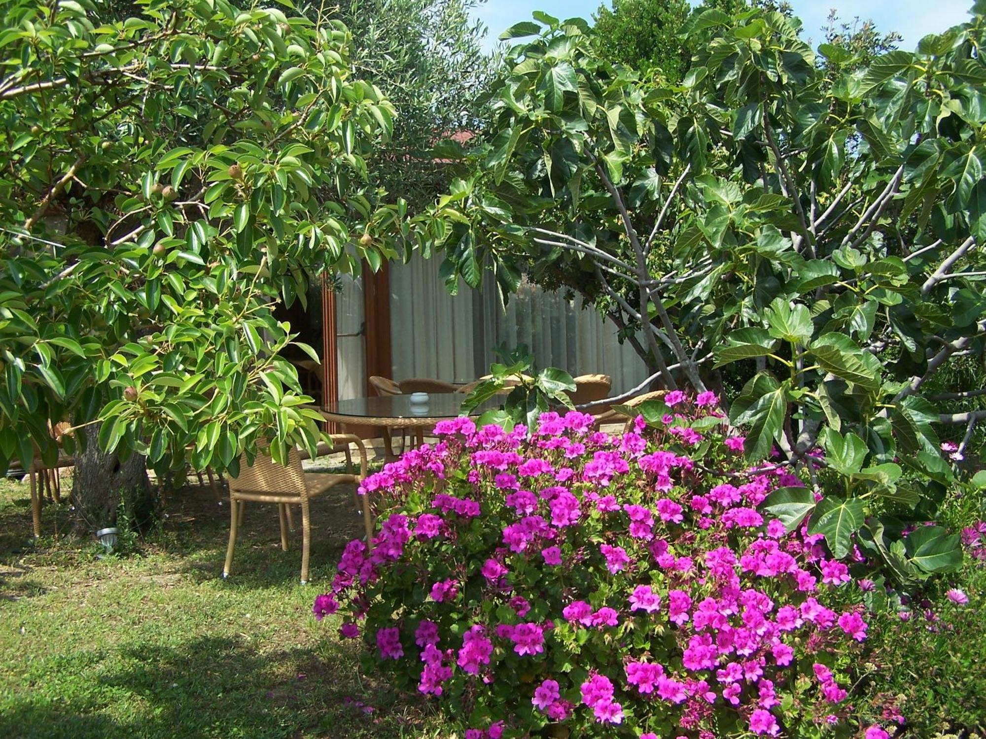 Hotel Club Ragno D'Oro Olbia Tempio Ngoại thất bức ảnh