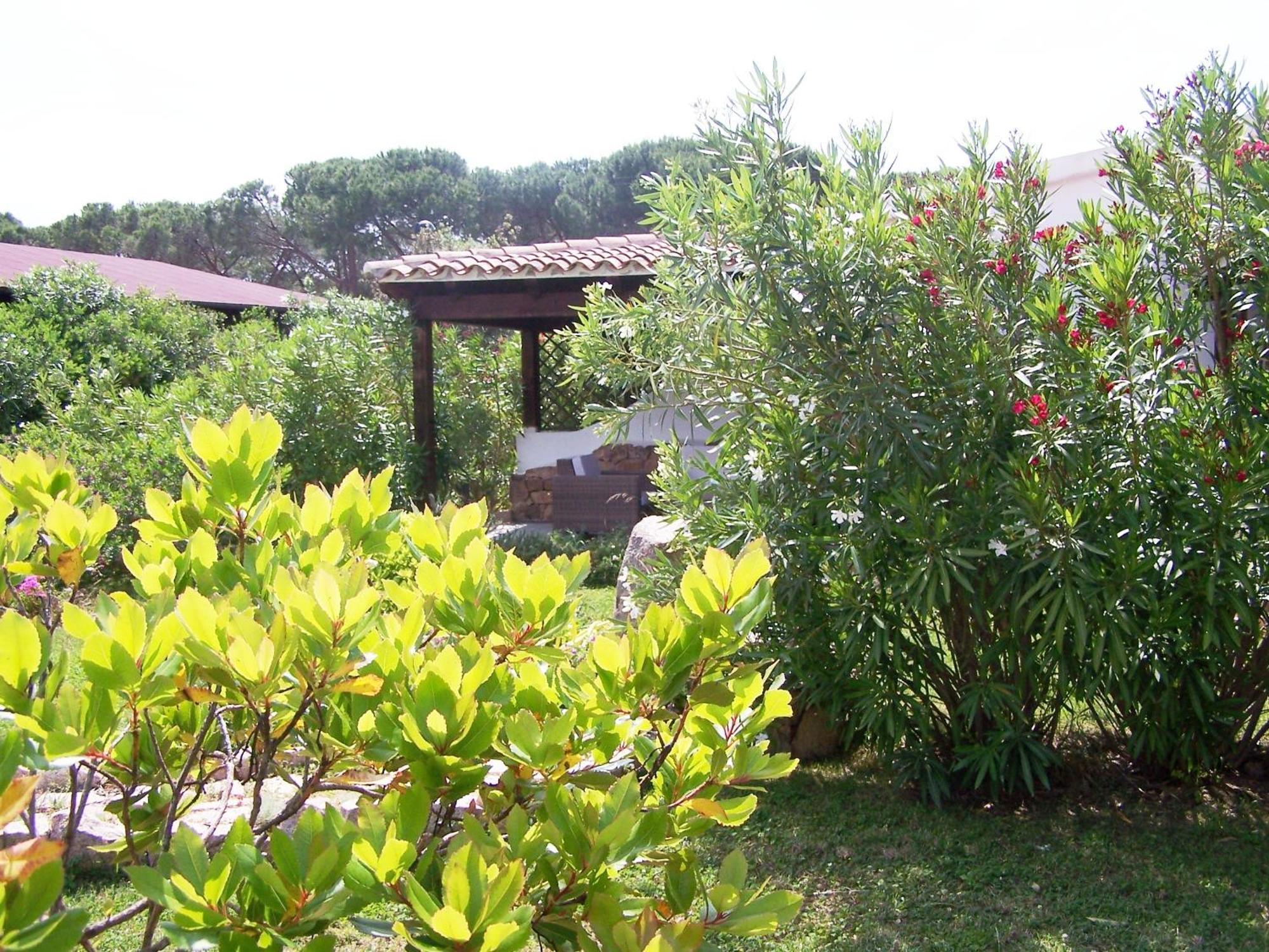 Hotel Club Ragno D'Oro Olbia Tempio Ngoại thất bức ảnh